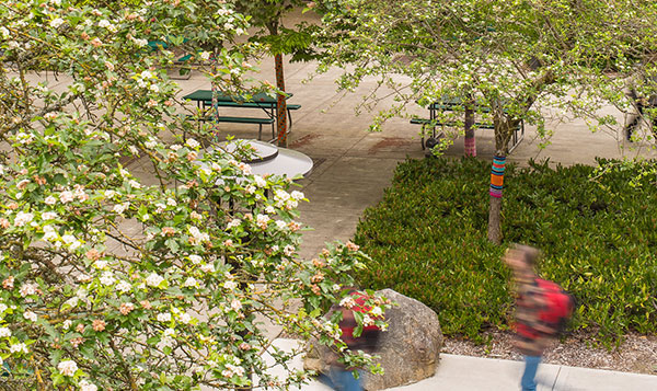 Seattle Colleges District