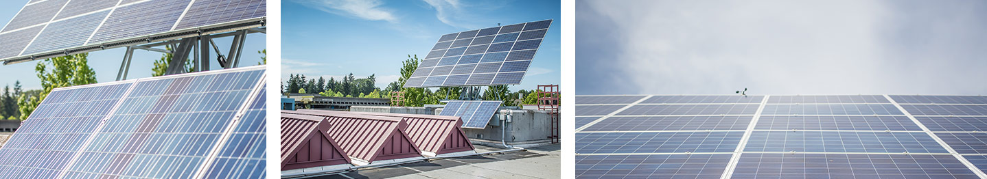 sustainability